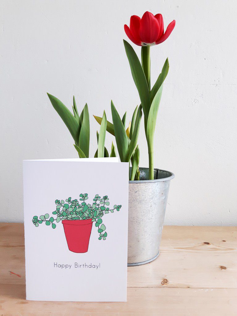 Happy-birthday-pot-plant-Anna's-Drawing-Room-and-tulip