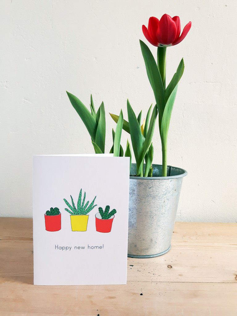 Happy-new-home-cactus-aloe-plants-Anna's-Drawing-Room