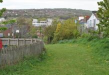 Good News! Upgrade for William Clarke Park