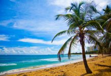 Search For £1 Million Lotto Winner Desert Island