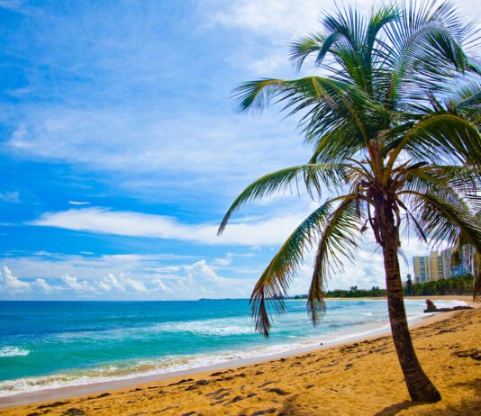 Search For £1 Million Lotto Winner Desert Island