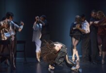 Volunteers Needed For Brighton Festival