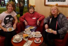 In Pictures: Paw-some Tea Party For Lost Cats Brighton!