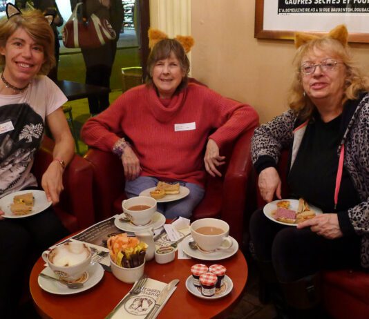 In Pictures: Paw-some Tea Party For Lost Cats Brighton!
