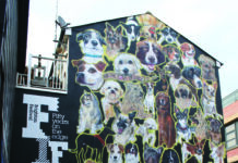 Last Chance to See these Iconic Brighton Murals