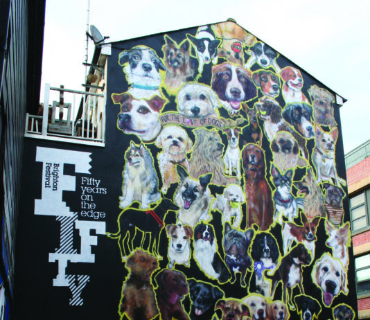 Last Chance to See these Iconic Brighton Murals