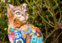Gogglebox Star to Host Snowcats Charity Auction