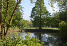 Brighton’s Best Picnic Locations