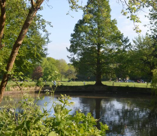 Brighton’s Best Picnic Locations