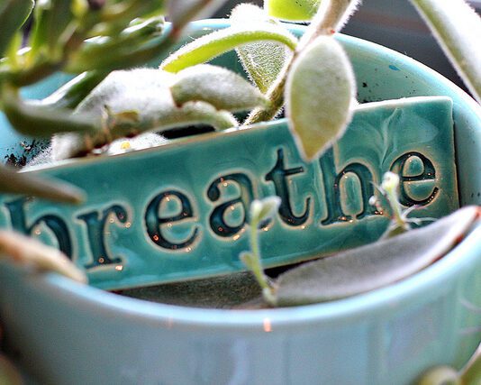 Gain Inspiration from Your Breath