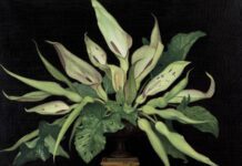 LGBTQ Takes Centre Stage at Brighton Museum