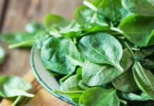 A Guide To Veggie Brighton