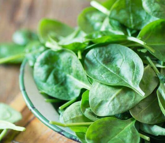 A Guide To Veggie Brighton