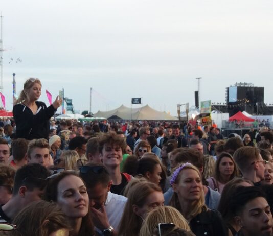 Glitter, Zebras And Crazy Dancers! Wild Festival, Wild People!