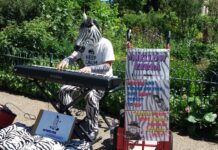 Who Knew Zebras Could Play The Piano! Meet Vadim Petrov!