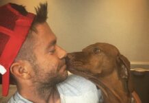Mr Gay England Is… A Dog Trainer From Brighton!