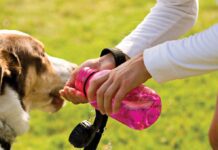 Think Of Your Furry Best Friends! They Are Hot As Well!