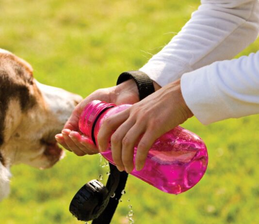 Think Of Your Furry Best Friends! They Are Hot As Well!