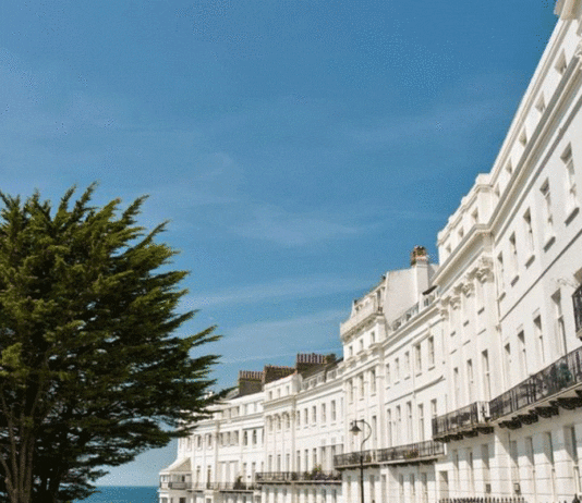 Essential Tools for a Real Estate Startup in 2023