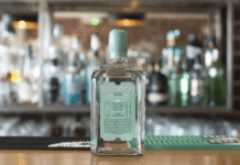 It’s official – Brighton has the best gin!
