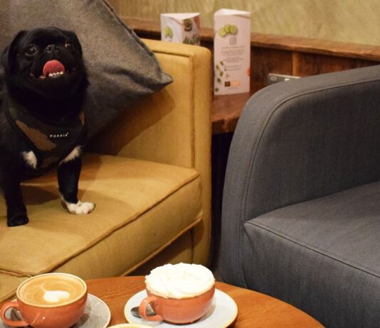 Fancy Having A Puguccino With Your Beloved Four-Legged Friend?