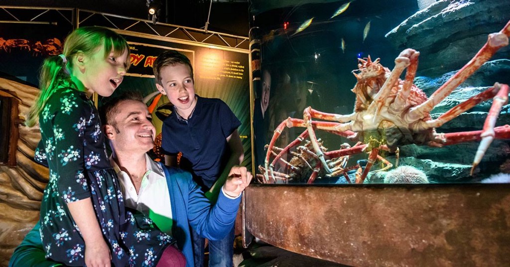 Photo via Sea Life Brighton Facebook.