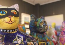 What’s The Destiny For Brighton’s Snowcats?