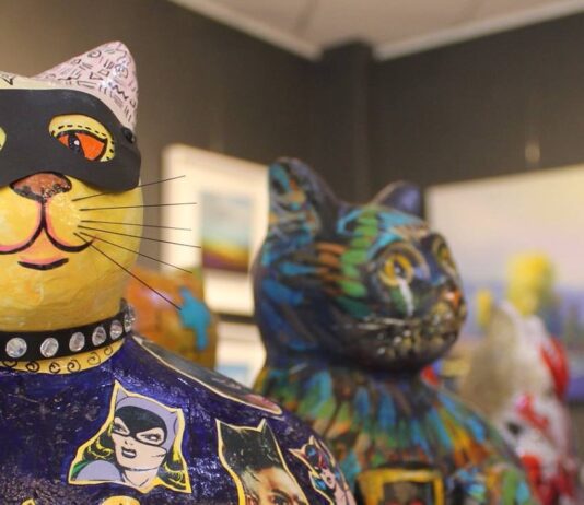 What’s The Destiny For Brighton’s Snowcats?