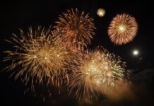 Local Animal Lovers Hope For Regulations On Year-Round Firework Displays