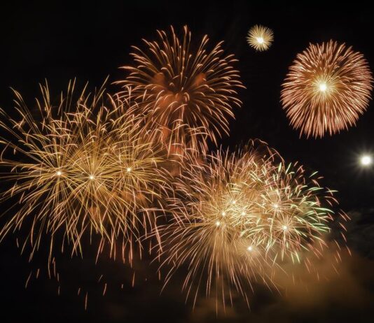 Local Animal Lovers Hope For Regulations On Year-Round Firework Displays