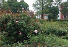 Brighton And Hove Parks Awarded For Excellence!