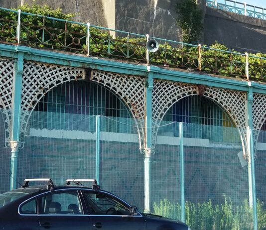 Will You Donate To Help Funding The Madeira Terraces Regeneration Project?