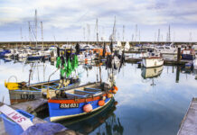 8 Things You (Probably) Didn’t Know About Brighton Marina