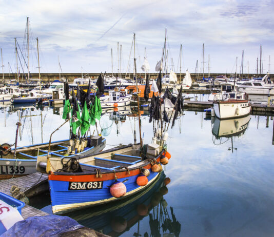 8 Things You (Probably) Didn’t Know About Brighton Marina
