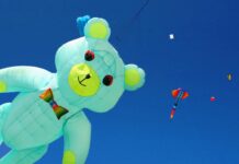 Crazy Shapes And Lots Of Colour In The Sky About Stanmer Park This Weekend!