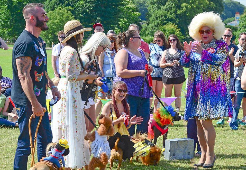 Credit @ Pride Dog Show Photography.