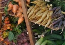 What’s In Season? Local Organic Food!