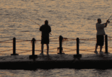 Humans Of Brighton: Lee Francis Shares His Fishing Secret