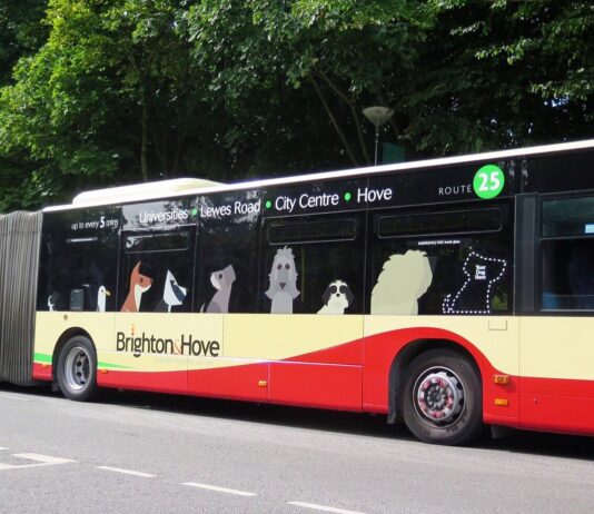 Mike & Scrabble Decorated Dog Bus!