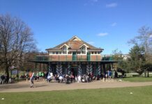 Dog Friendly Places In Brighton