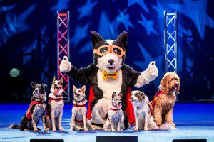 Via: Stunt Dog Show Productions Facebook 