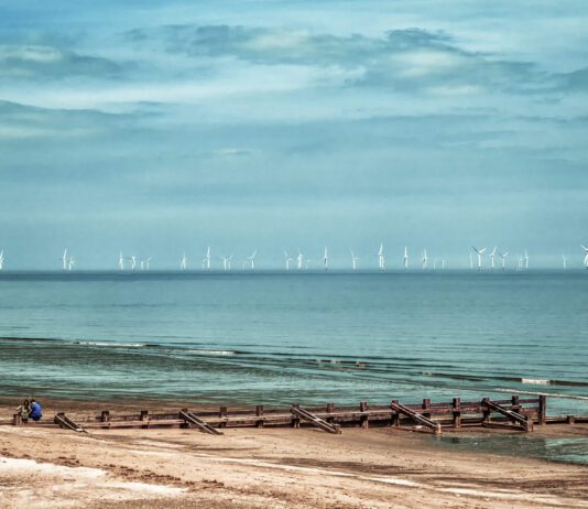 Green Giant: what should we expect from our wind farms?