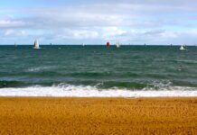 Brightons of the World: Brush up on you Pub Quiz Knowledge with Brighton Related Trivia!