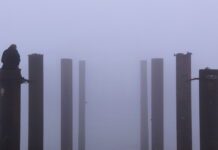 Lonely in the City? Looking to meet some new people?