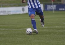 Brighton Striker Tomer Hemed Influential For the Seagulls