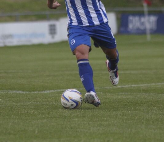 Brighton Striker Tomer Hemed Influential For the Seagulls