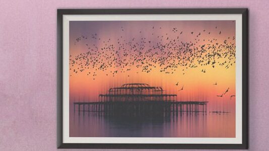 David Asch Hugely Advocates For Digital Art