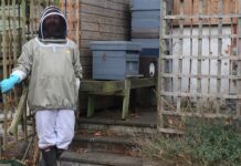 Martin Tothill Is Fascinated By His Bees And So Are We