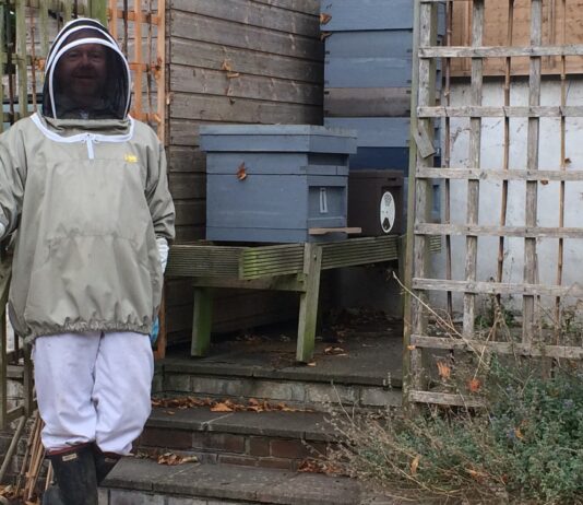 Martin Tothill Is Fascinated By His Bees And So Are We