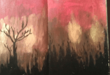 Wild Art Journalling Experience